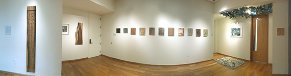 Gallery installation, 2019